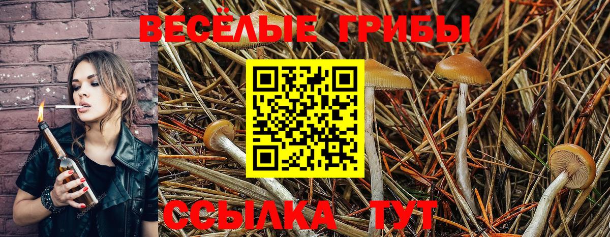 Псилоцибиновые грибы MAGIC MUSHROOMS Алатырь